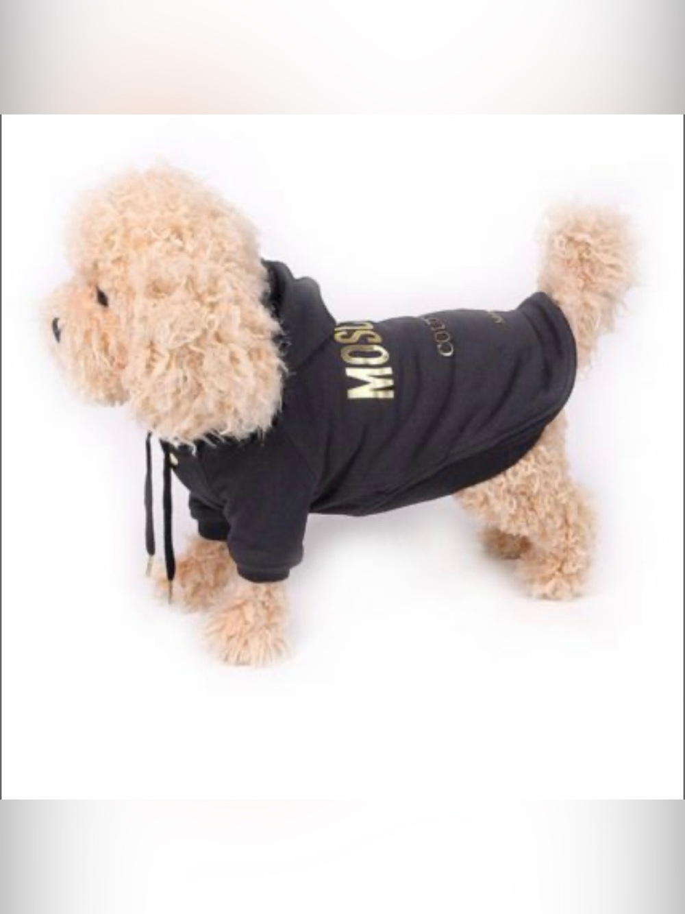 Moschino Pet Hoodie Blouse Sweater Sweatshirt Top Jacket Bomber Dog Jacket